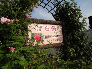 冠山総合公園 ばら祭