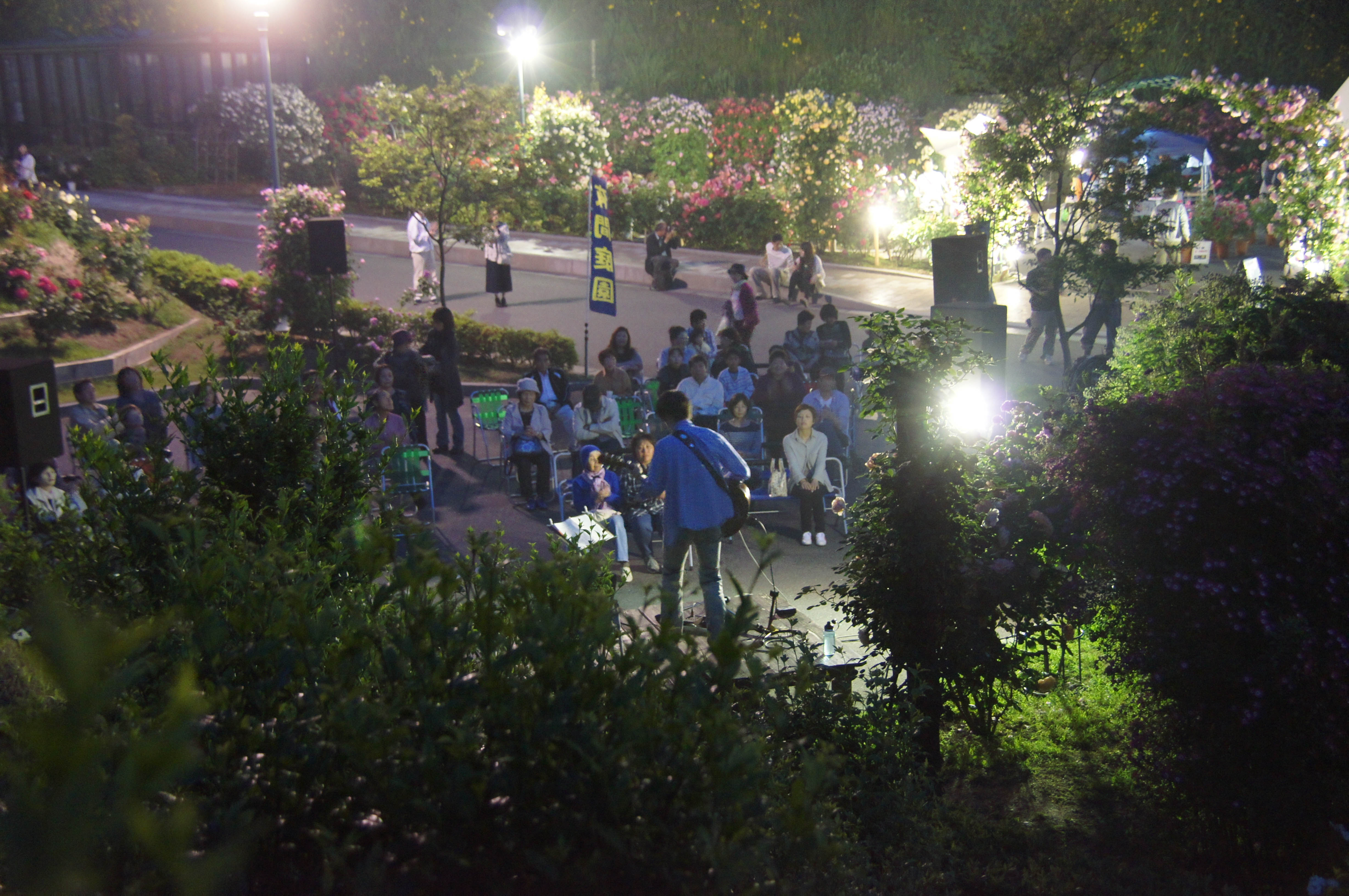 冠山総合公園 ばら祭 夜間庭園