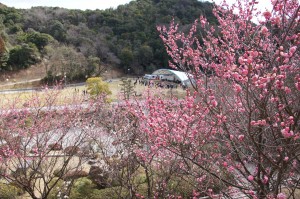 冠山総合公園