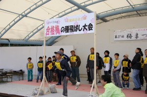 合格梅の種飛ばし大会