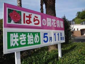 平成26年度光の花物語 第二章 ばら祭