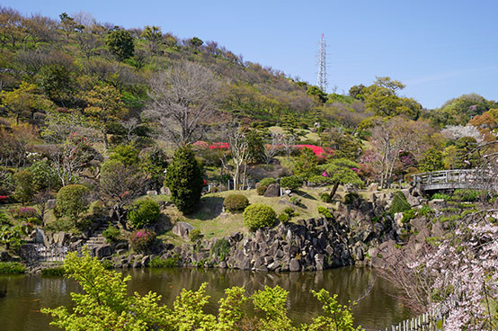 冠山総合公園