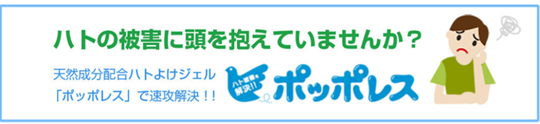 ハトの被害に頭を抱えていませんか？